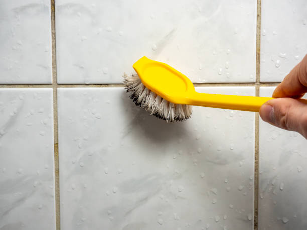 Best Mold Testing  in Kent, WA